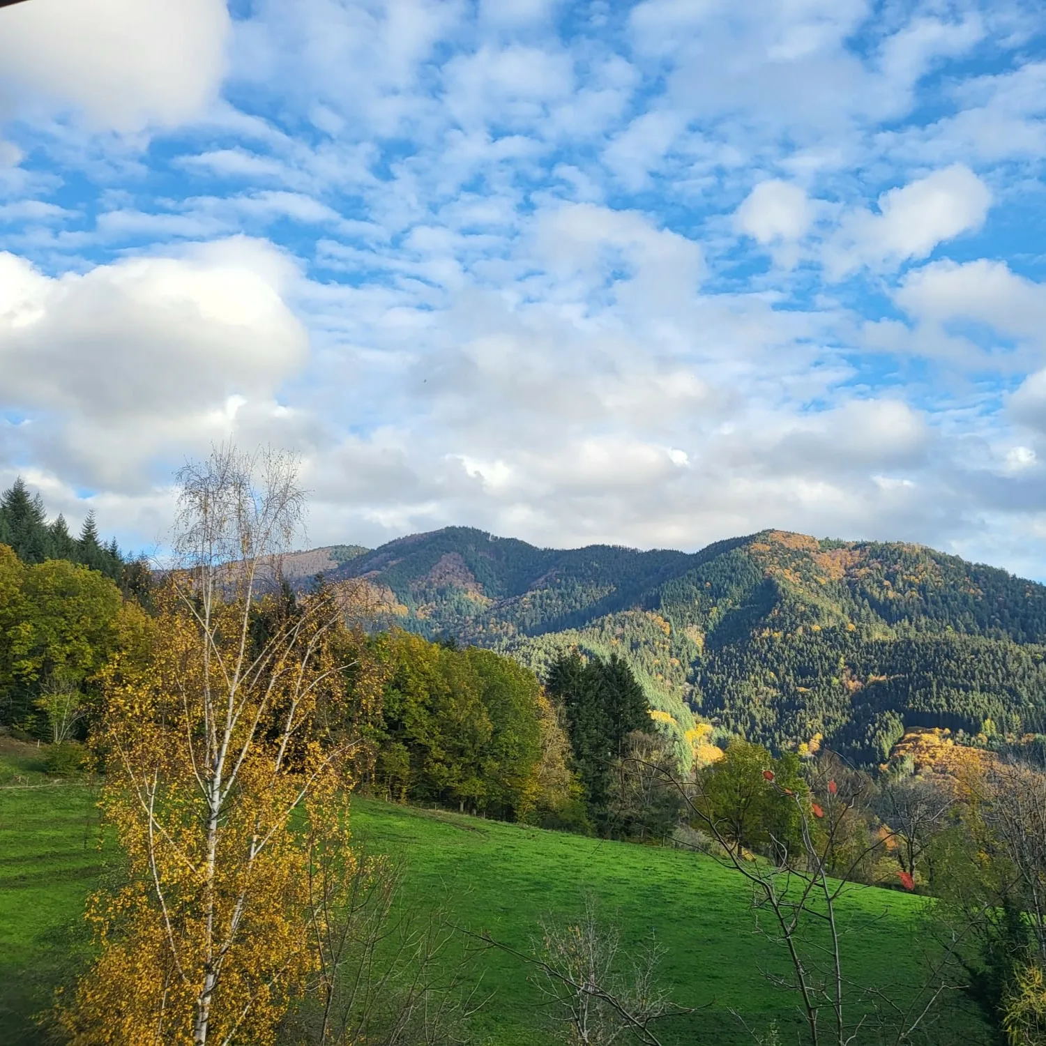 Aussicht auf farbige Bäume im Garten und auf dem Berg, mit einem halbbewölkten Himmel darüber.