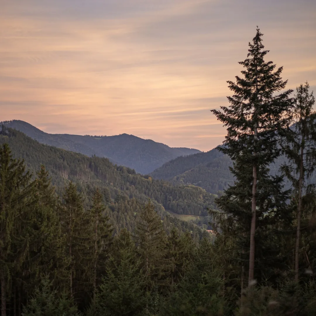 The setting sun casting a pastel hue over the Black Forest near our retreat center.