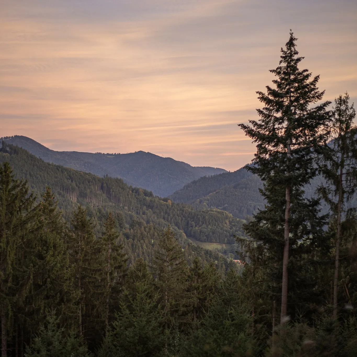 Die untergehende Sonne, die einen pastellfarbenen Schimmer über den Schwarzwald in der Nähe unseres Retreat Centers wirft.