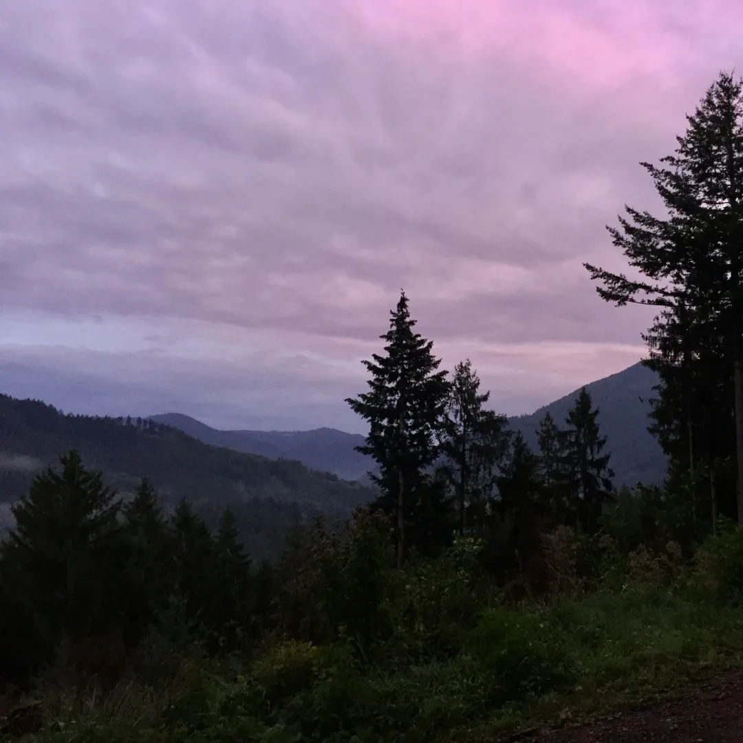 A dramatic mountain view beneath a cloudy lilac sky, with a few dark coniferous trees framing the foreground.