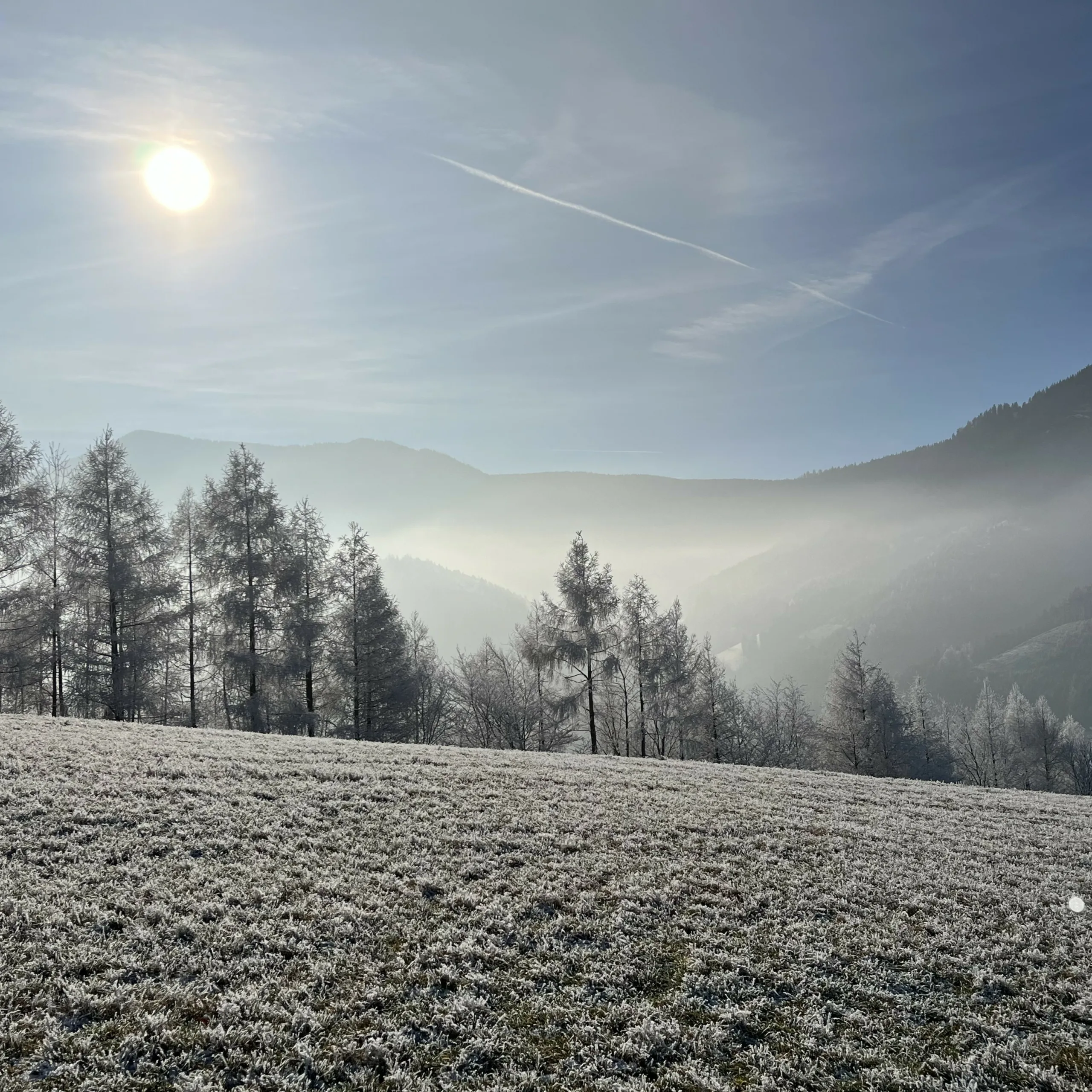 Seidiges Sonnenlicht, das durch dünne Wolken und Talnebel filtert und der Wiese, die von Bäumen gesäumt ist, einen fast schwarz-weißen Effekt verleiht.