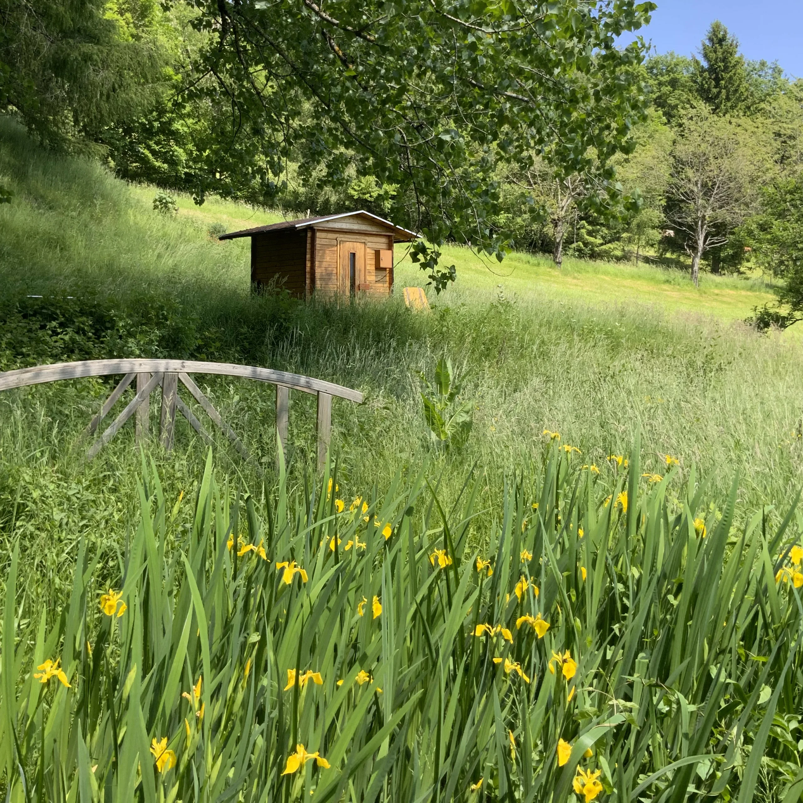 Saunahäuschen aus Holz am Hang im blühenden Garten.