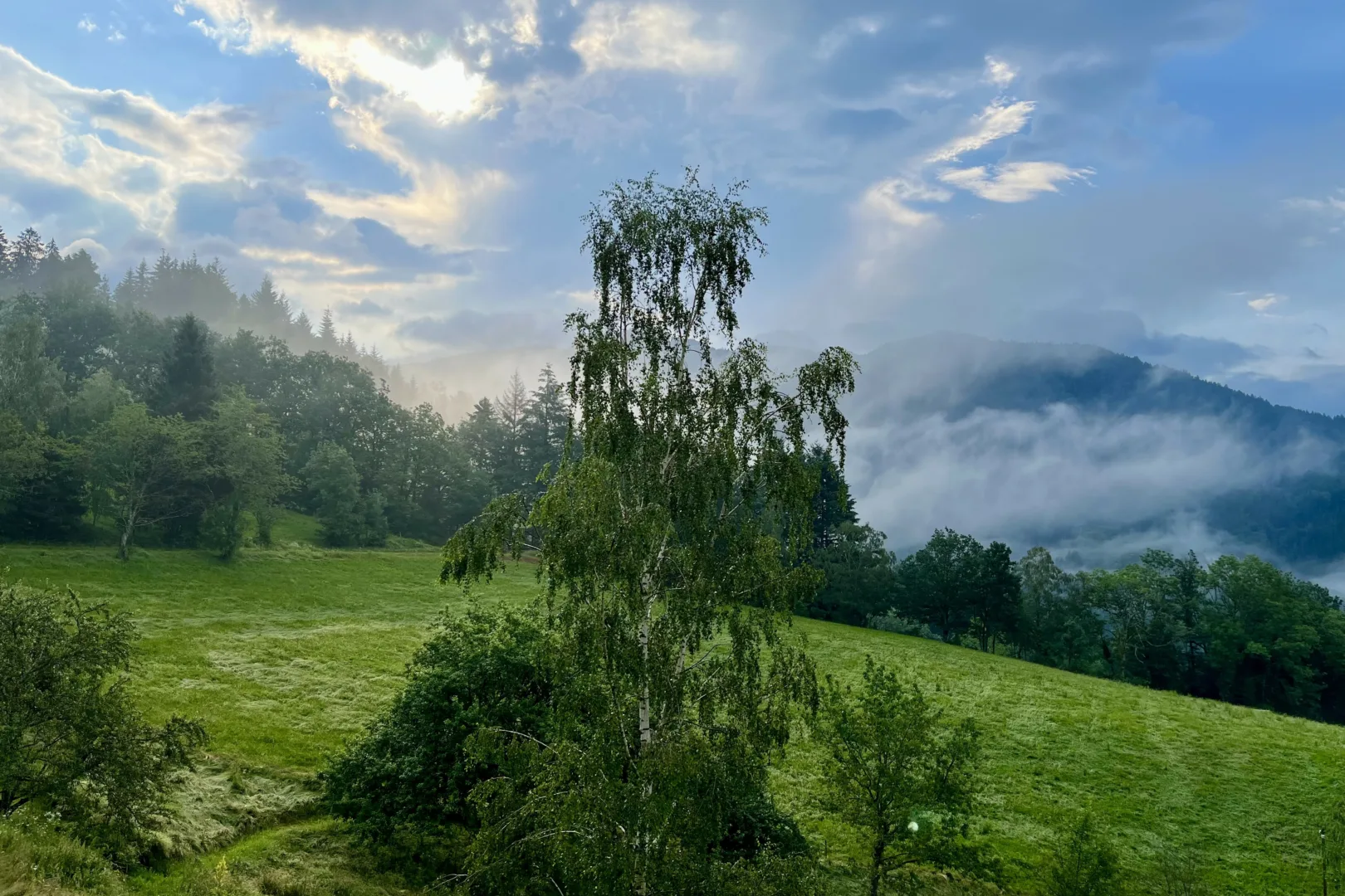 The rising sun peeking over the mountain, with dew transforming into mist or clouds.