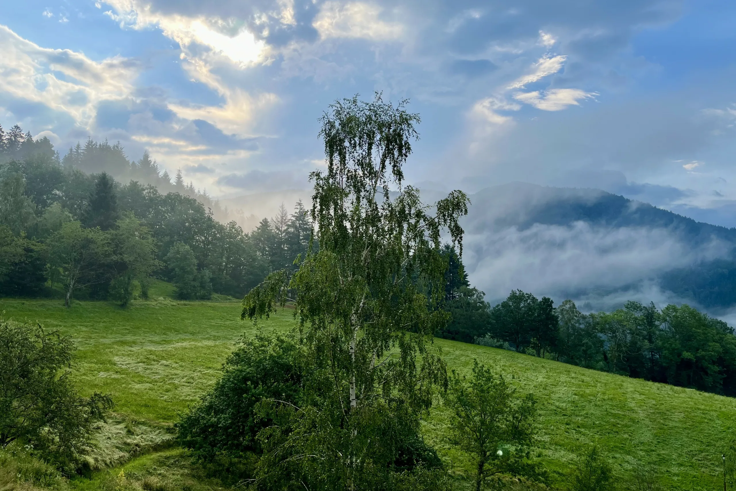 Die aufgehende Sonne, die hinter dem Berg hervorschaut, während der Tau sich in Nebel oder Wolken verwandelt.