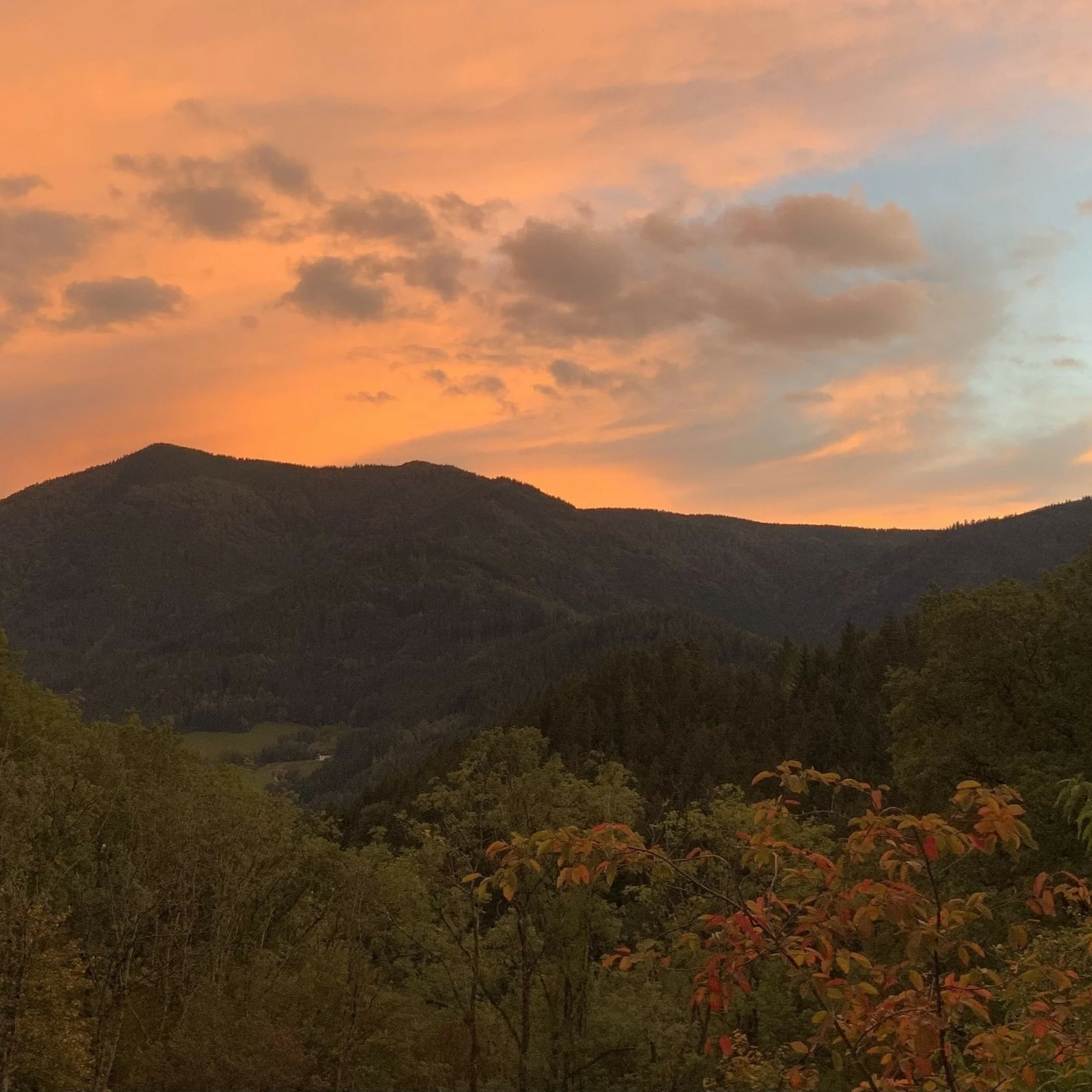 Ein pfirsichfarbener Himmel über den Bergen und eine bunte Felsenbirne im Vordergrund.