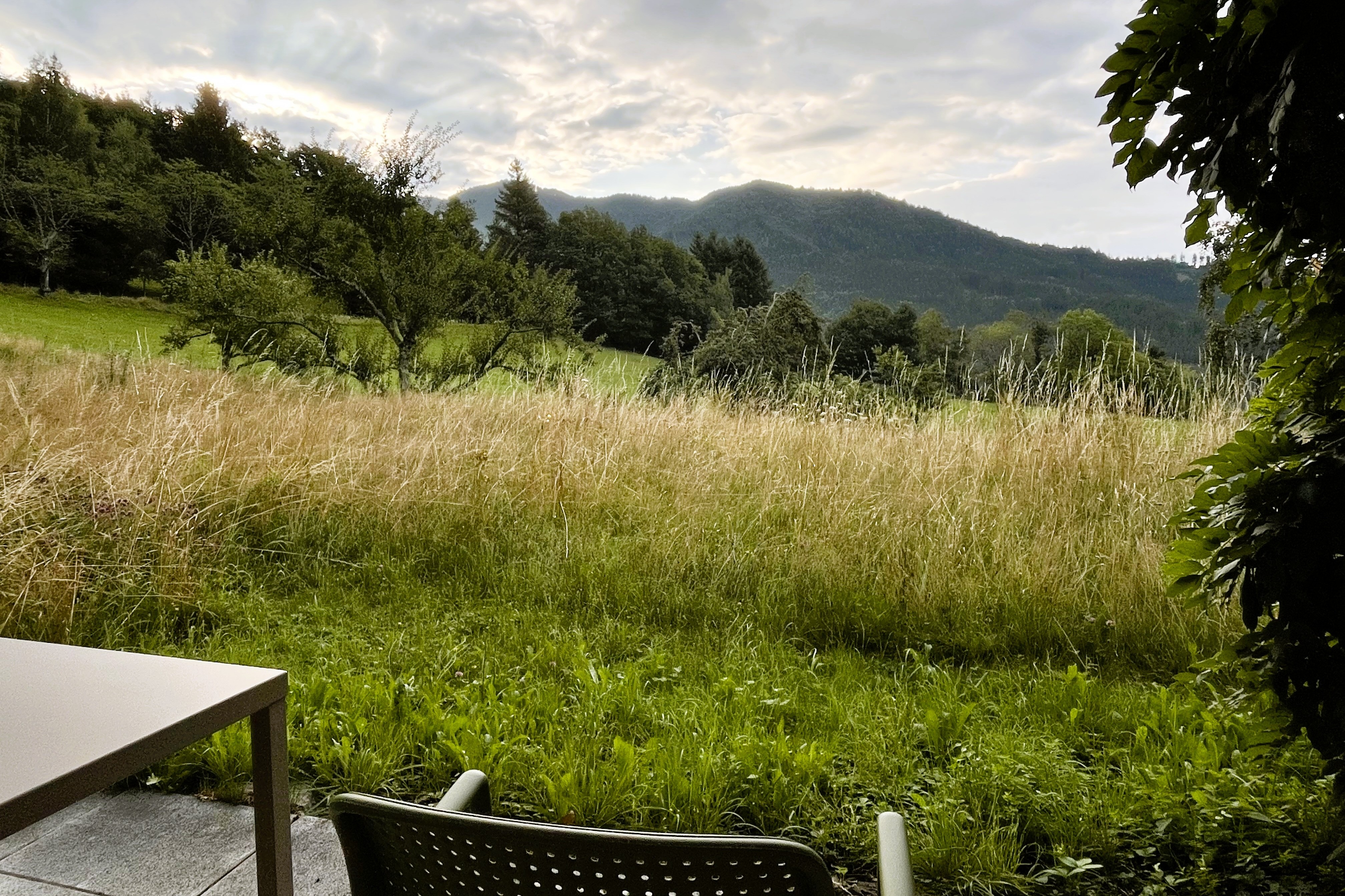 View from the terrace over the wild garden and mountains at sunrise.