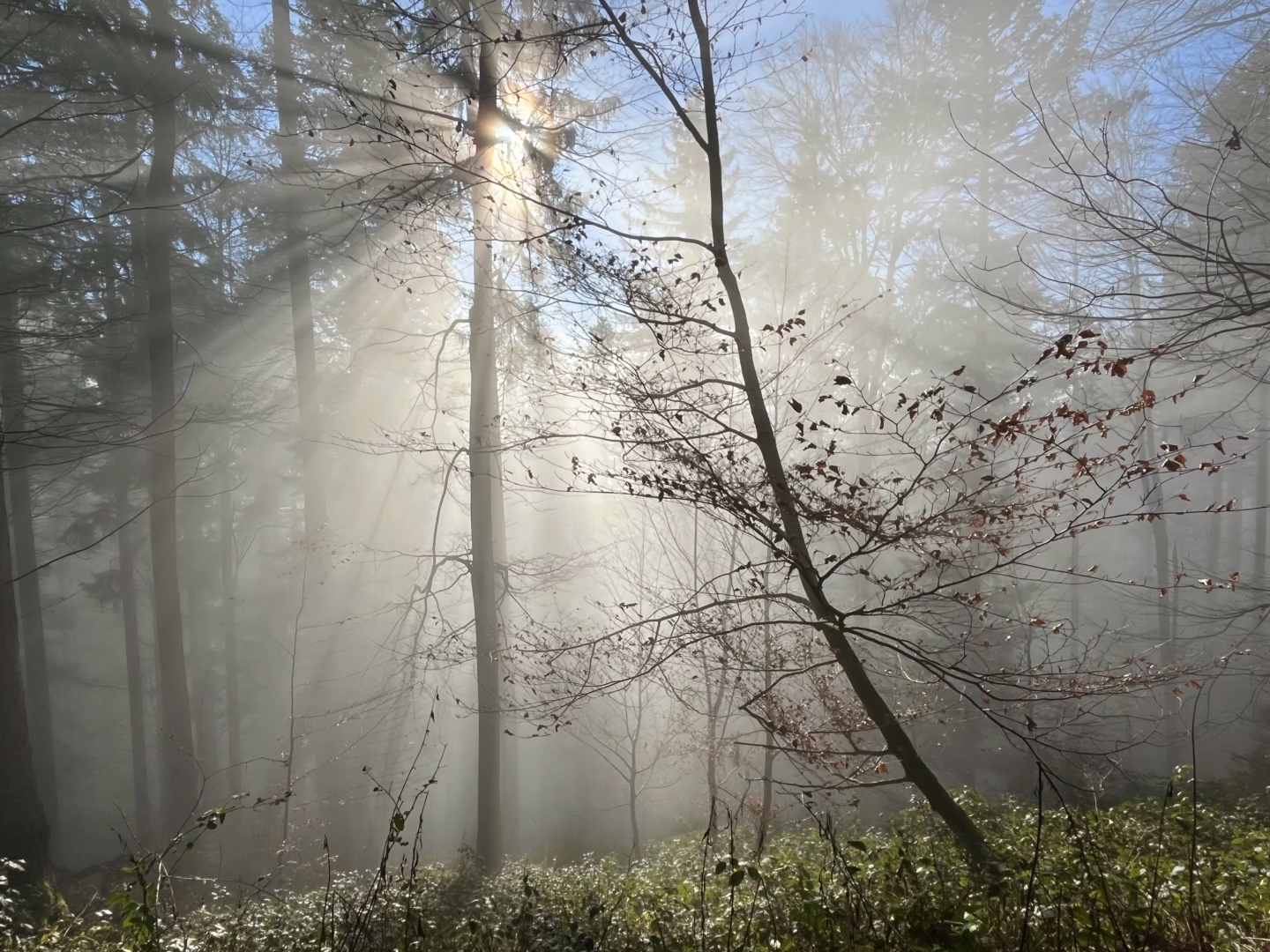 Massage offer fasting retreat